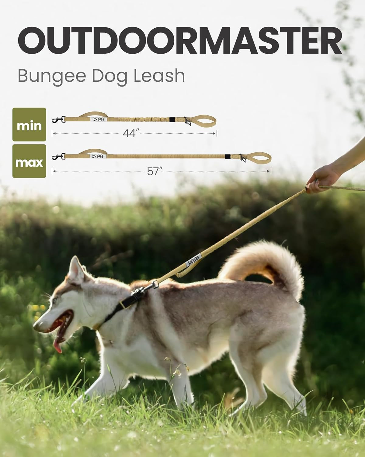 Bungee Dog Leash, Improved Dog Safety & Comfort