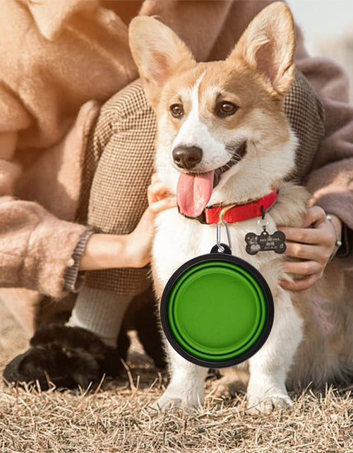 Load image into Gallery viewer, Large Collapsible Dog Bowls, 34Oz Travel Water Food Bowls Portable Foldable Collapse Dishes with Carabiner Clip, 2 Pack (Green+Blue)
