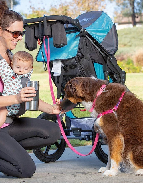 Load image into Gallery viewer, Portable Dog Water Bottle &amp; Dog Water Bottle Dispenser (New - Large 22Oz Water &amp; Food Dispenser) Insulated 2 Wall Stainless Steel - Optimal Cool Water Temp - Perfect Dog Travel Water Bottle
