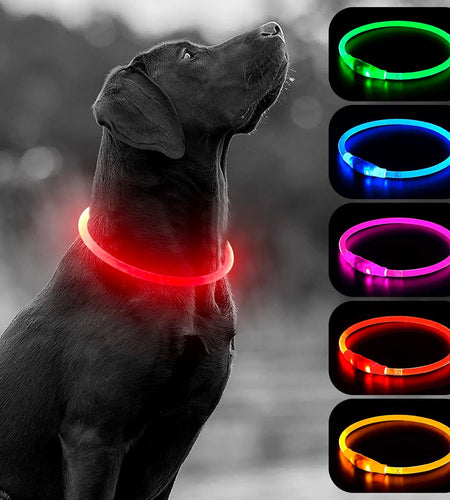 LED Dog Collar -  USB Rechargeable Light up Dog Collar Glow in the Dark, LED Dog Necklace Light for Night Walking (Red)