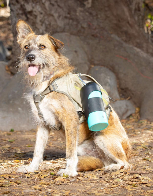 Load image into Gallery viewer, Portable Dog Water Bottle &amp; Dog Water Bottle Dispenser (New - Large 22Oz Water &amp; Food Dispenser) Insulated 2 Wall Stainless Steel - Optimal Cool Water Temp - Perfect Dog Travel Water Bottle
