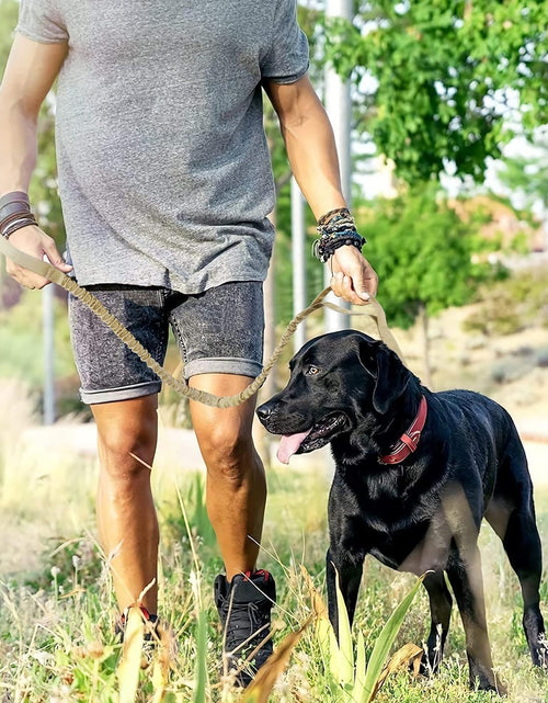 Load image into Gallery viewer, Bungee Dog Leash, Improved Dog Safety &amp; Comfort
